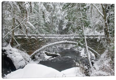 Whatcom Creek Bridge Canvas Art Print - Evergreen Tree Art