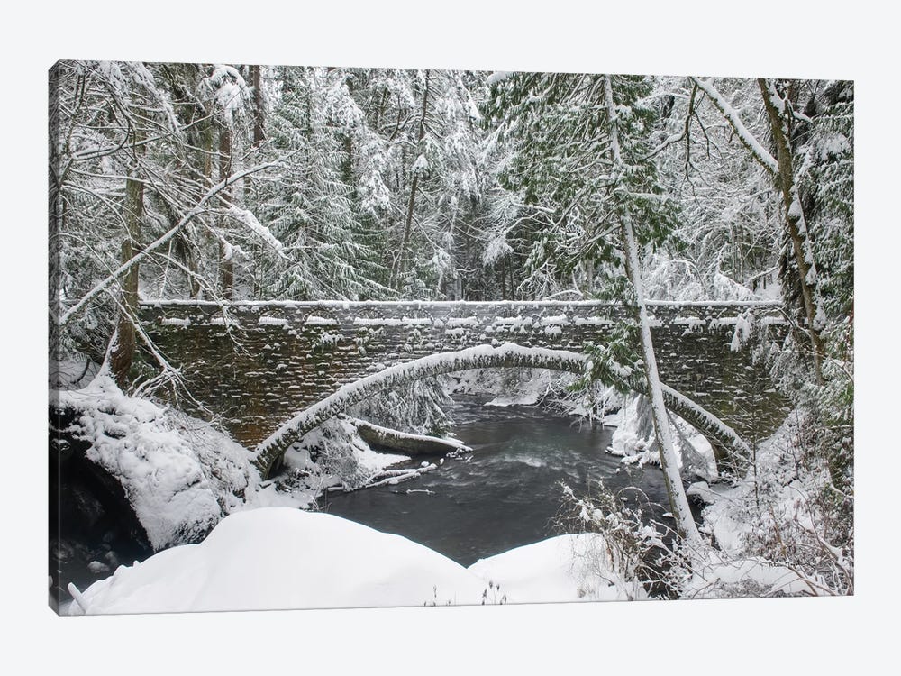 Whatcom Creek Bridge by Alan Majchrowicz 1-piece Canvas Art Print