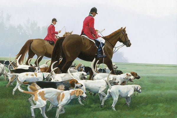 English Foxhounds