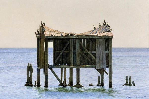 Dereliction: Old Bird Roost by Michael J. Harrell