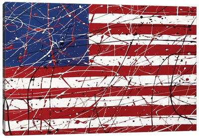 American Flag I Canvas Art Print - American Flag Art