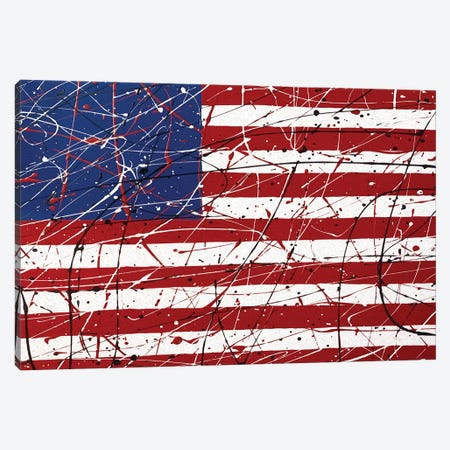 American Flag I Canvas Print #MJM2} by Martin James Art Print