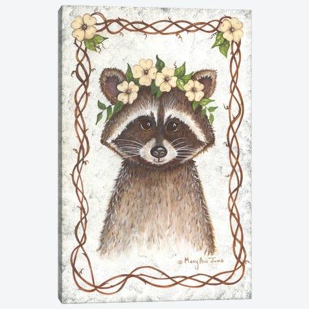 Raccoon Canvas Print #MJN15} by Mary Ann June Canvas Artwork