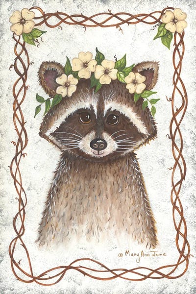 Raccoons: Raccoon by Mary Ann June