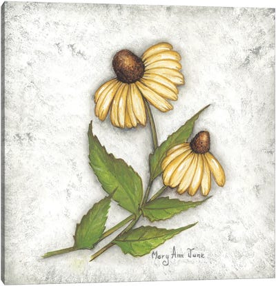 Yellow Coneflowers Canvas Art Print