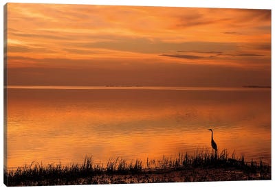 Crystal Beach Sunset Canvas Art Print - Marsh & Swamp Art