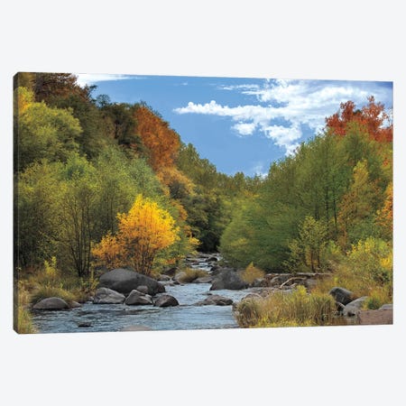 Near Perfect Day Canvas Print #MJO5} by Mike Jones Canvas Artwork