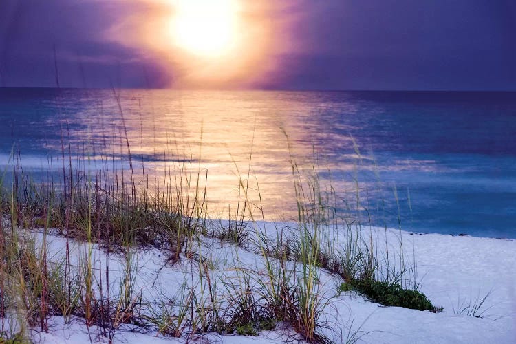 Pensacola Moonrise by Mike Jones wall art