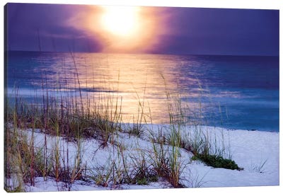 Pensacola Moonrise Canvas Art Print - Coastal Sand Dune Art