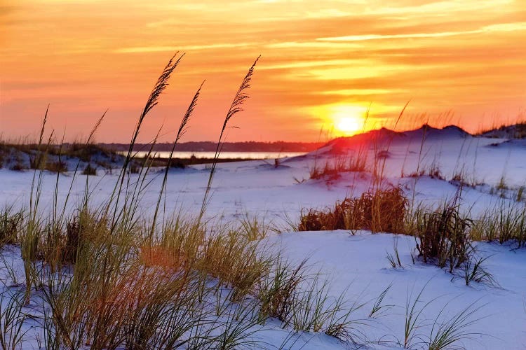 Seashore Sunset by Mike Jones wall art