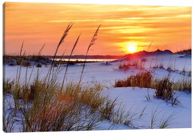 Seashore Sunset Canvas Art Print - Coastal Sand Dune Art
