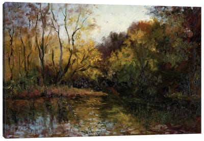 Bend In The River At Morrow Canvas Art Print