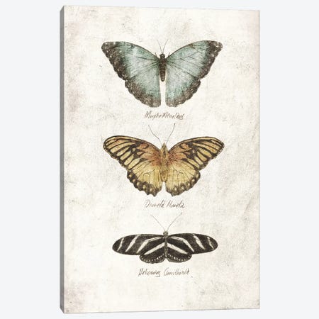 Butterflies I Canvas Print #MKB119} by Mike Koubou Canvas Print
