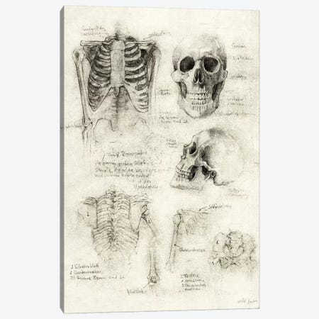 Skeleton Canvas Print #MKB123} by Mike Koubou Canvas Artwork