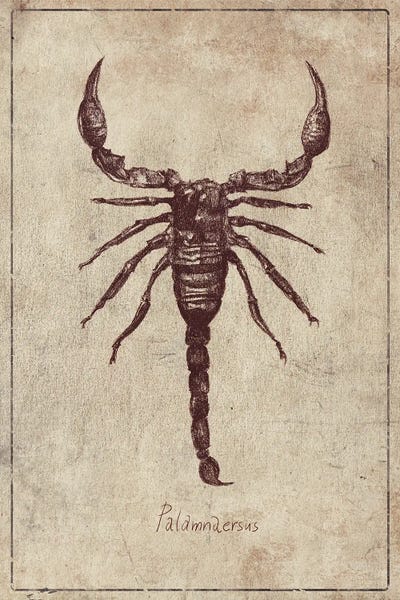 Mike Koubou: Palamnaersus by Mike Koubou