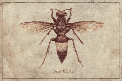 Vespa Tropica 2 by Mike Koubou framed canvas print