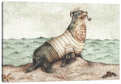 Keep An Eye On The Coast Canvas Art Print - Seal Art