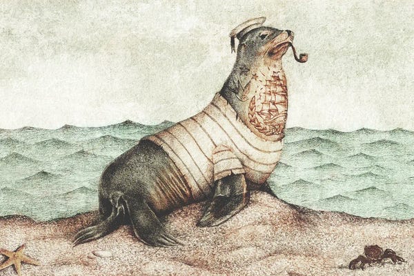 Seals & Sea Lions: Keep An Eye On The Coast by Mike Koubou