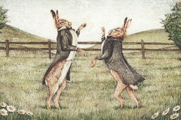 Rabbits: Gentlemen Fighting by Mike Koubou