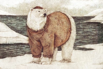 Polar Sailor by Mike Koubou canvas print