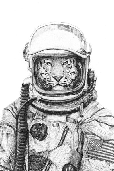 Black & White Drawings & Illustrations: Apollo 18 by Mike Koubou