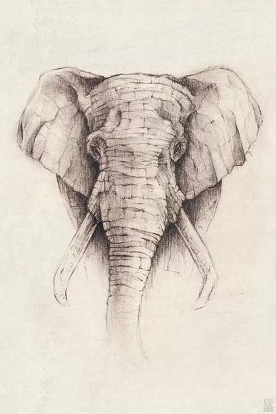 Elephant II by Mike Koubou framed canvas print