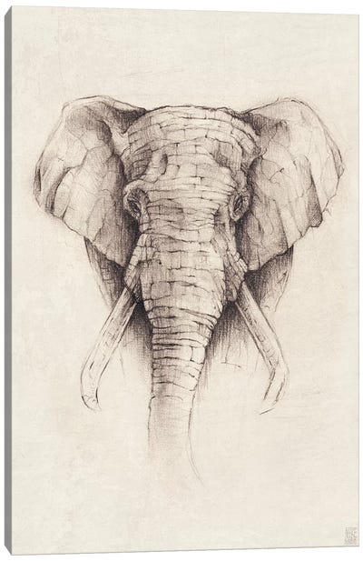 Elephant II Canvas Art Print - Vintage Décor