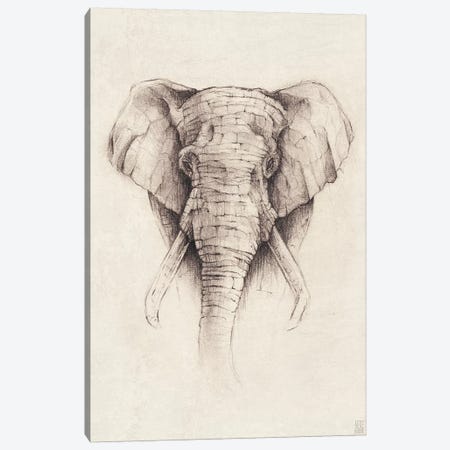 Elephant II Canvas Print #MKB20} by Mike Koubou Canvas Art Print