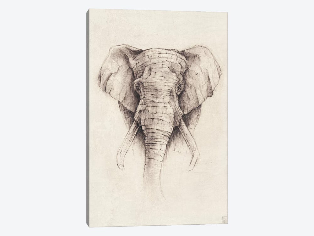 Elephant II by Mike Koubou 1-piece Canvas Print