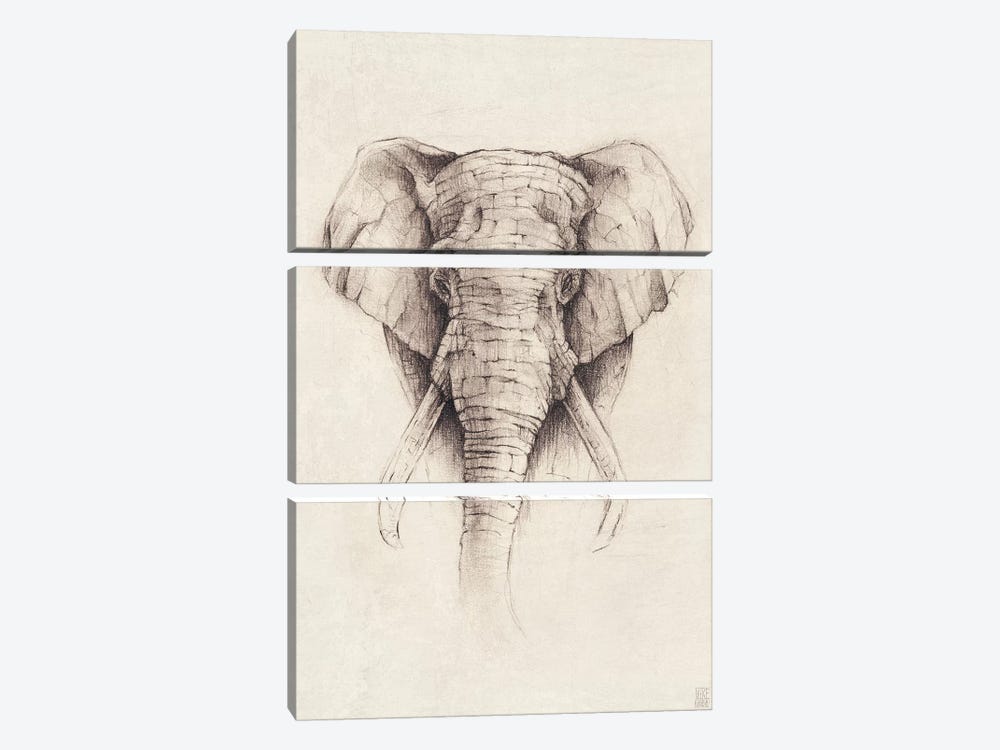 Elephant II by Mike Koubou 3-piece Canvas Art Print