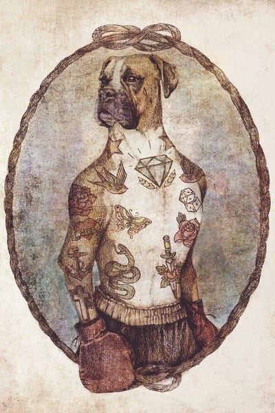 Boxers: Boxer by Mike Koubou