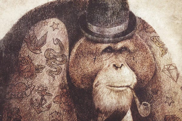 Orangutans: Dont Mess With Bill by Mike Koubou