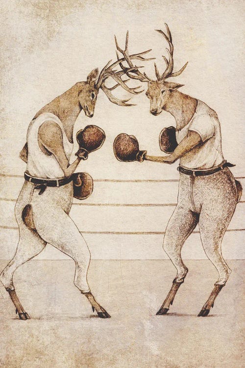 Wild Boxing by Mike Koubou wall art