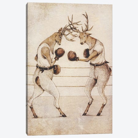 Wild Boxing Canvas Print #MKB214} by Mike Koubou Canvas Print