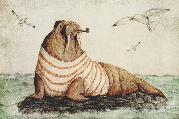 Walruses: Sailor by Mike Koubou