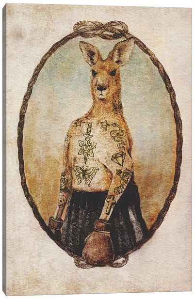 Australian Boxer Canvas Art Print - Kangaroo Art