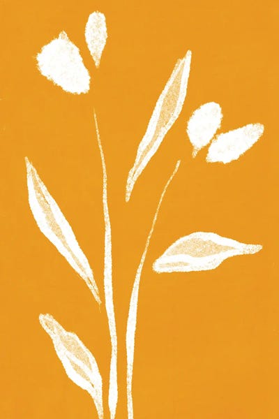 Tulips: Tulips by Mike Koubou