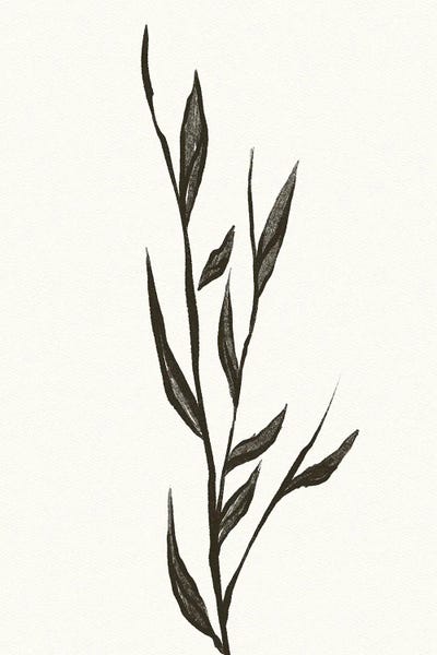 Plant by Mike Koubou canvas print