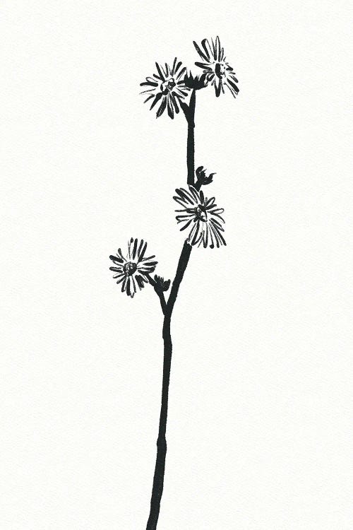Flower by Mike Koubou wall art