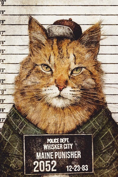 Maine Coon Cats: Maine Punisher by Mike Koubou