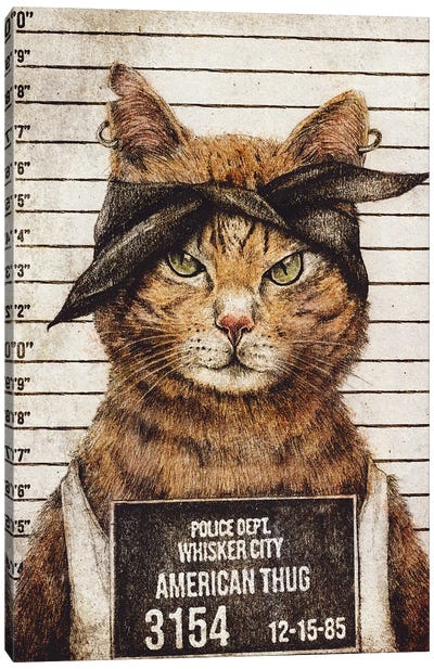 American Thug II Canvas Art Print - Orange Cat Art