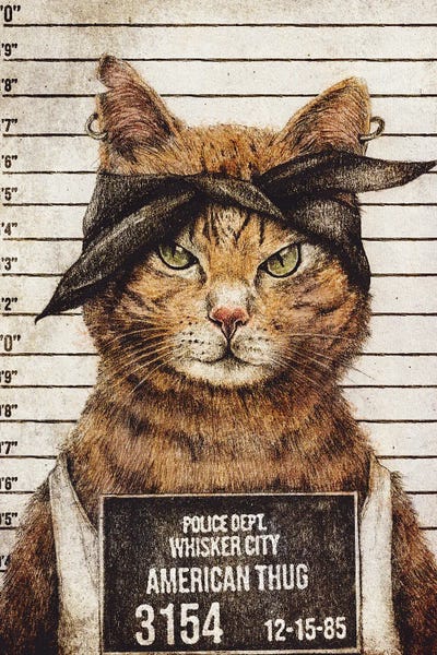Orange Cats: American Thug II by Mike Koubou