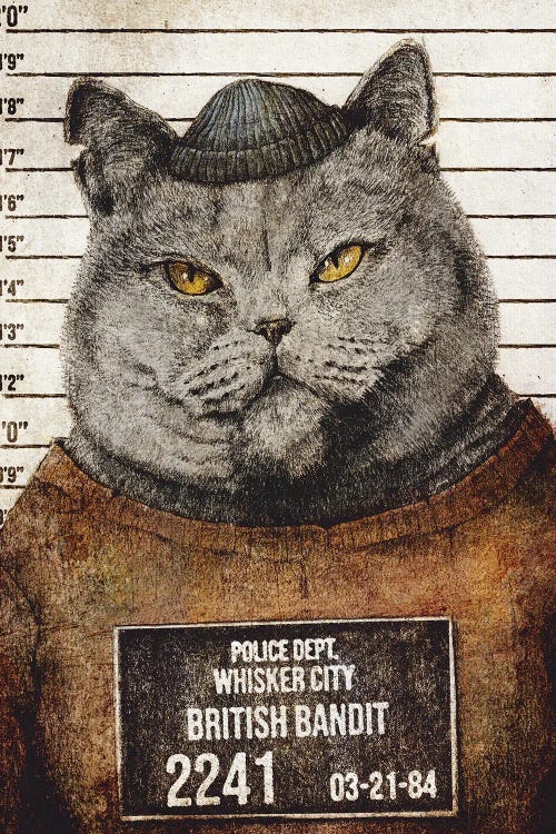 British Bandit by Mike Koubou wall art