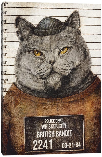 British Bandit Canvas Art Print - British Shorthair Cat Art