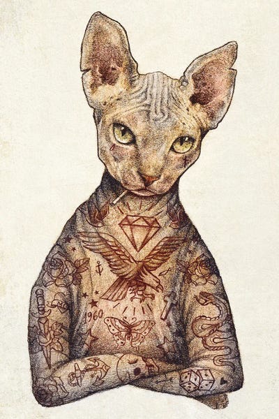 Hairless Cats: Sphynx by Mike Koubou