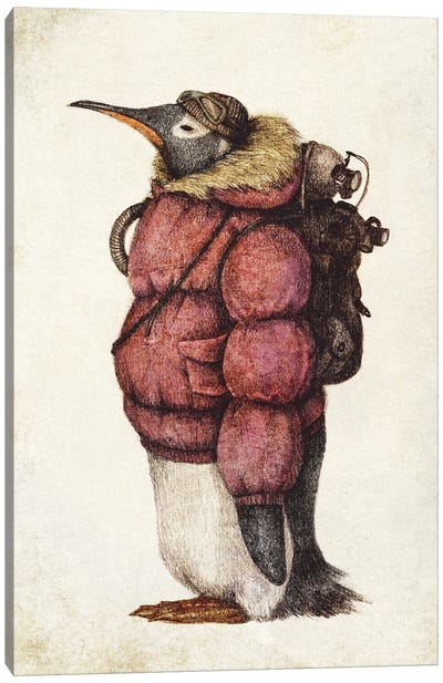 Arctic Explorer Red Canvas Art Print - Penguin Art