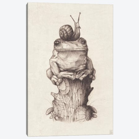 Frog And Snail I Canvas Print #MKB25} by Mike Koubou Canvas Wall Art