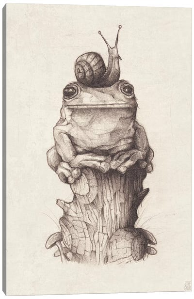 Frog And Snail I Canvas Art Print - Mike Koubou