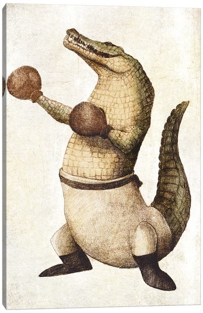 Punching Predator Canvas Art Print - Crocodile & Alligator Art