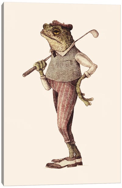 Frog Swing Canvas Art Print - Reptile & Amphibian Art